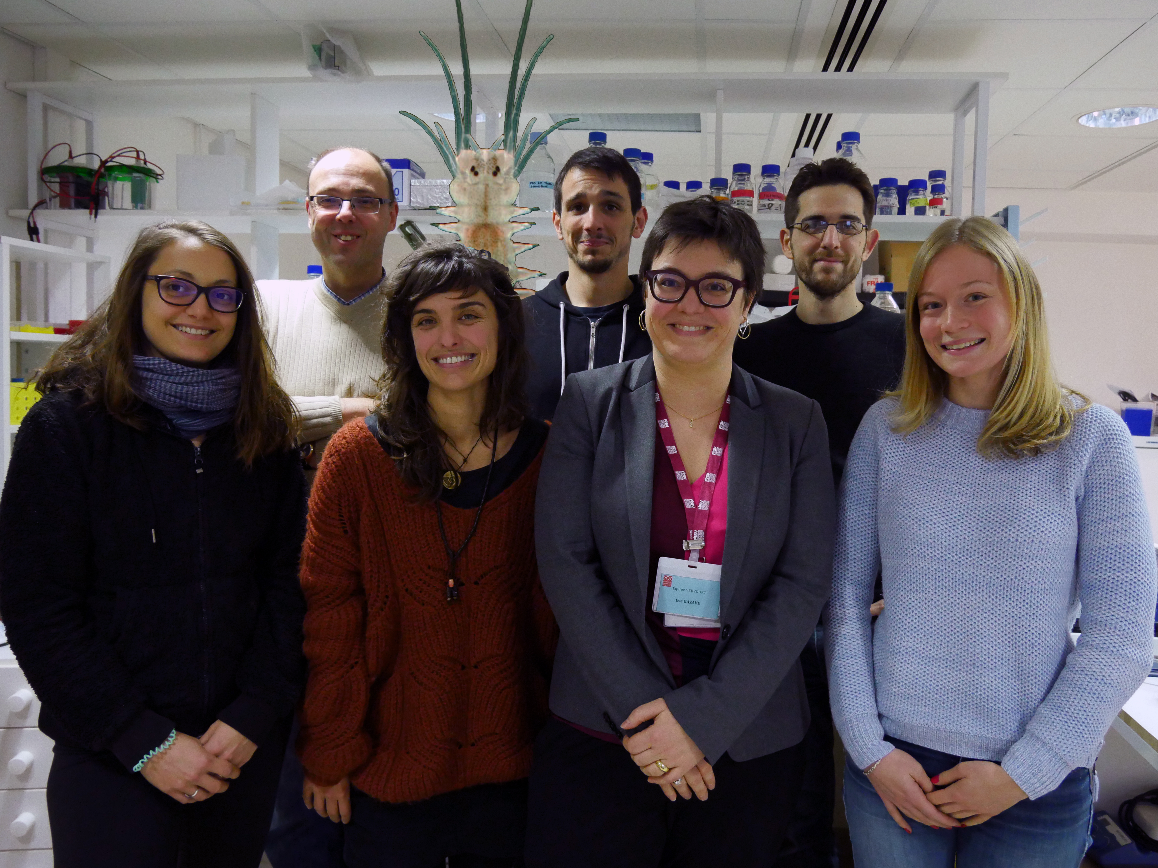 (Top) Michel Vervoort, Platynereis dumerilii, Axel Bauche, Pierre Kerner (Bottom) Anabelle Planques, Patricia Àlvarez-Campos, Eve Gazave, Cécile Renaud (January 2018)