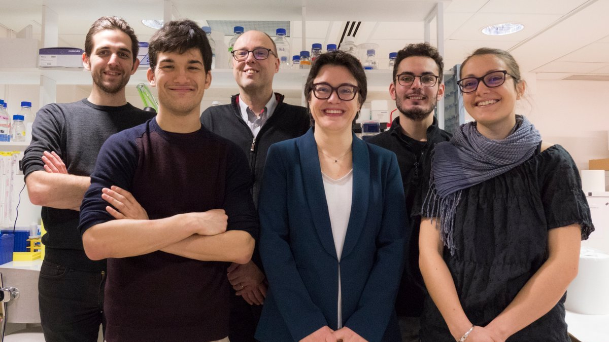 (Top) Pierre Kerner, Michel Vervoort, Luis Carreira, (Bottom) Loïc Bideau, Eve Gazave, Anabelle Planques (January 2019)